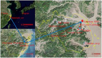 Levels, sources, variations, and human health risk assessment of 90Sr and 137Cs in water and food around Sanmen Nuclear Power Plant (China) from 2011 to 2020